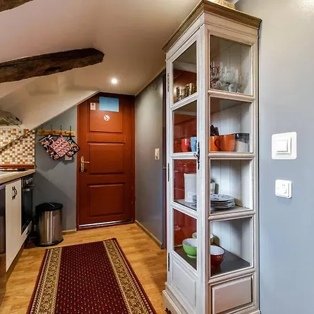 Old Town View In With Sauna Apartment *